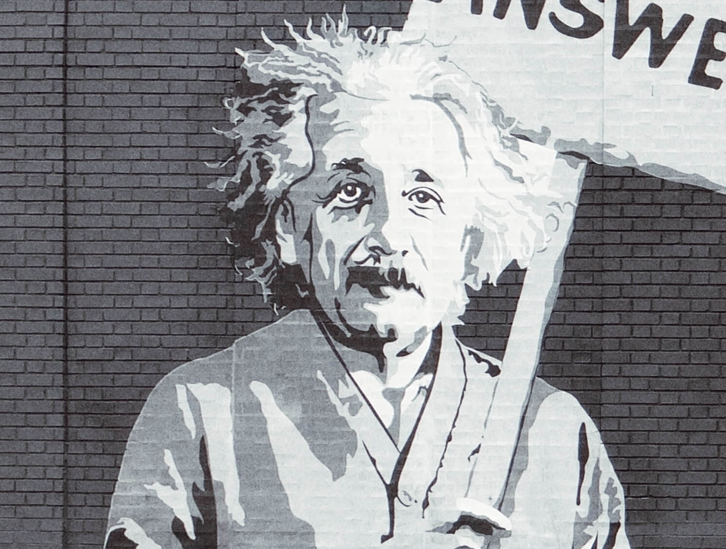 Support au coaching énergétique, un tag noir et blanc représentant Albert Einstein sur un mur de brique