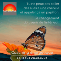 papillon-coaching