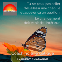 papillon-coaching