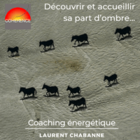 part-ombre-coaching