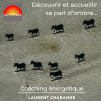 part-ombre-coaching